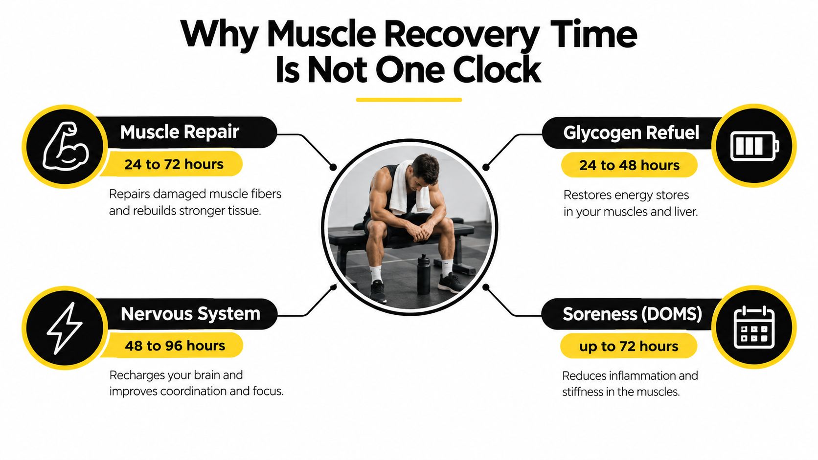 A diagram explaining that muscle recovery time involves repairing tissues, replenishing glycogen, resting the nervous system, and managing soreness.