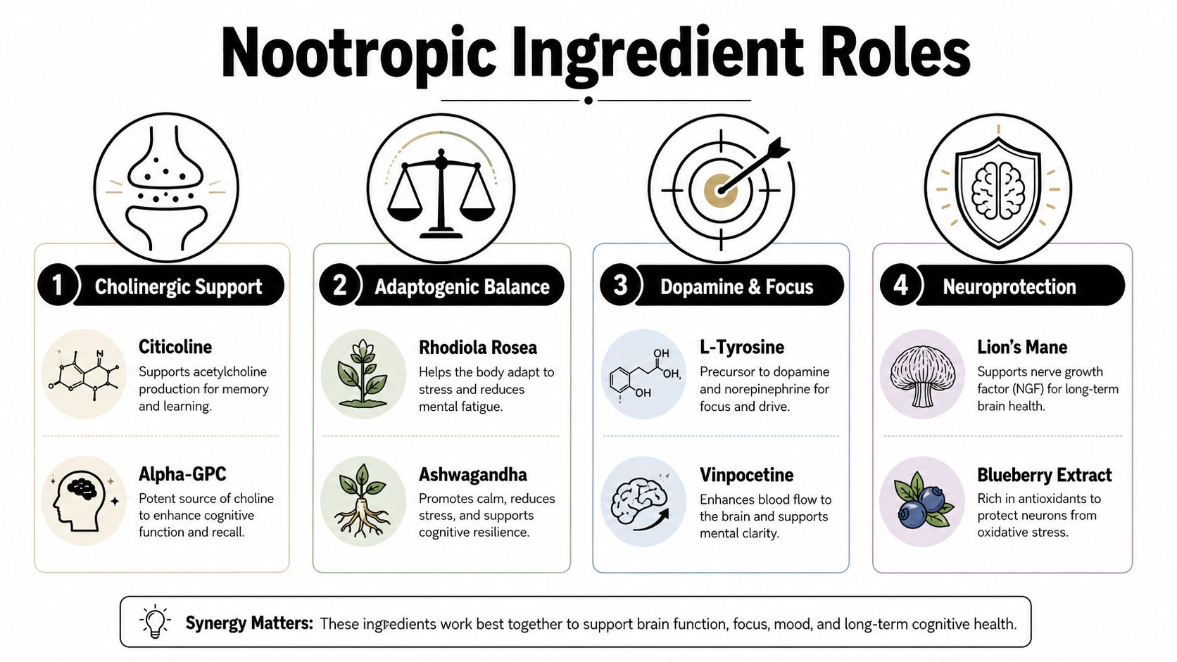 An infographic detailing four primary categories of nootropic ingredients and their specific cognitive benefits for brain health.