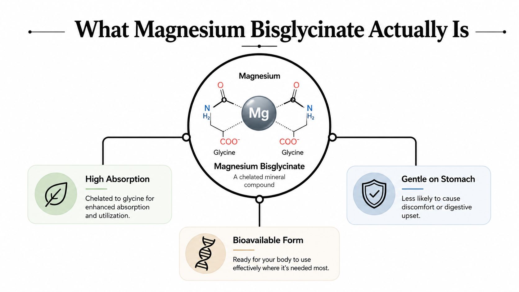 A scientific diagram explaining the chemical structure and health benefits of magnesium bisglycinate as a supplement.