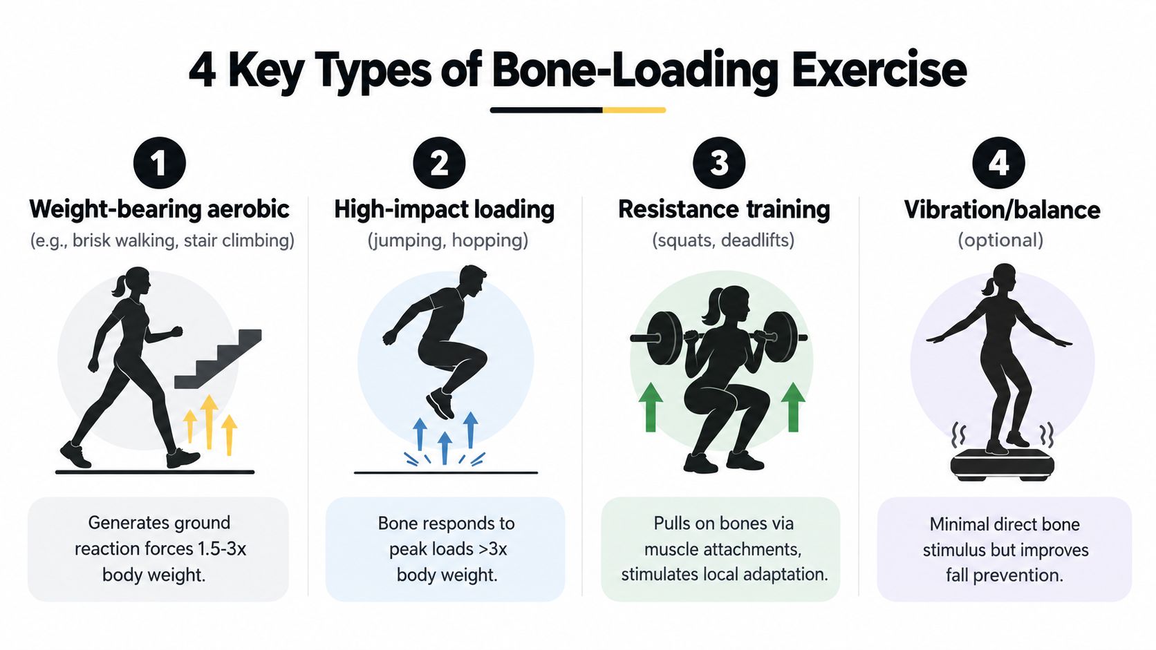 An infographic illustrating four types of bone-loading exercises for bone health including aerobics, high-impact, resistance, and vibration.