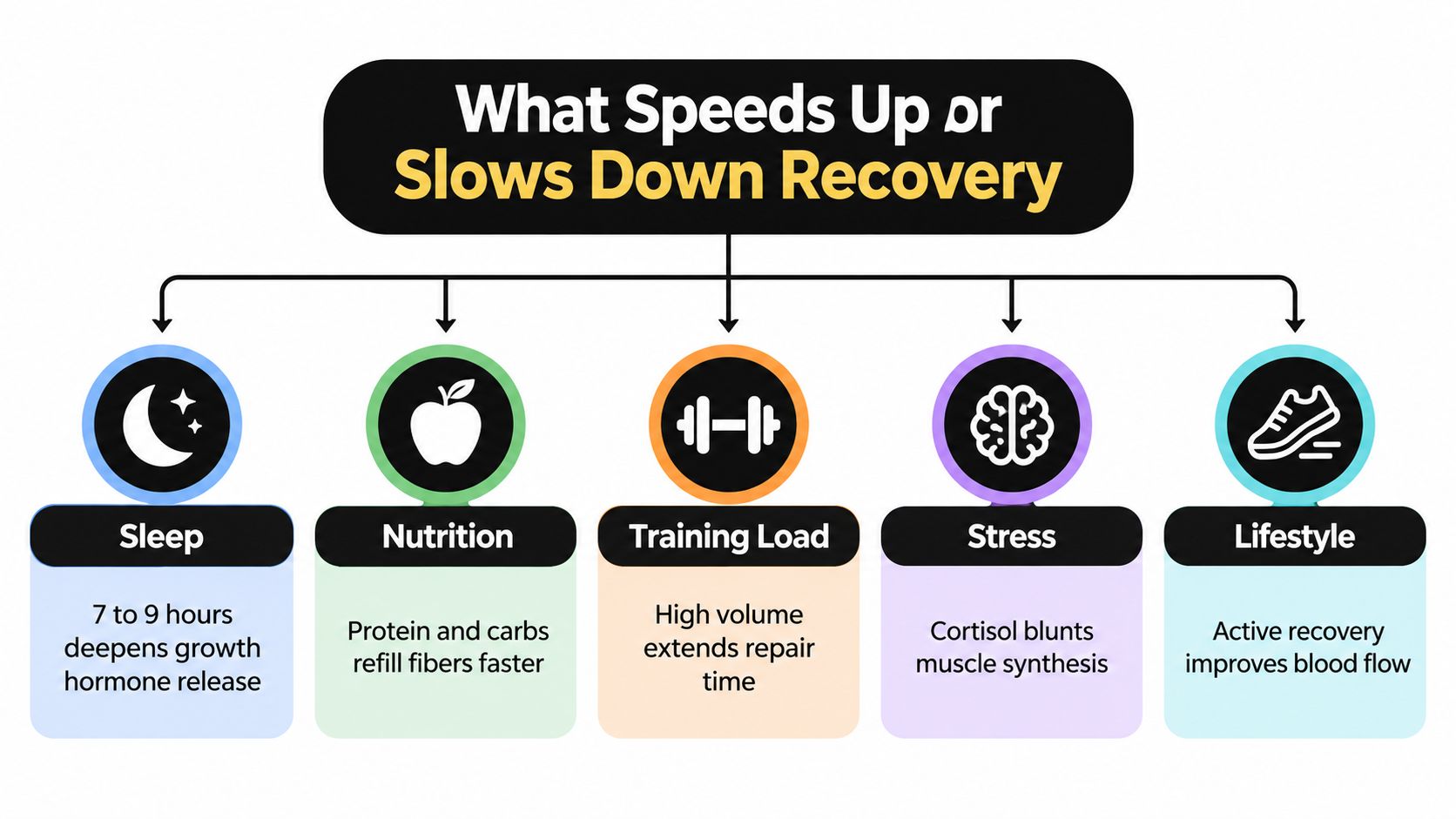 An infographic showing five key factors affecting muscle recovery: sleep, nutrition, training load, stress, and lifestyle.