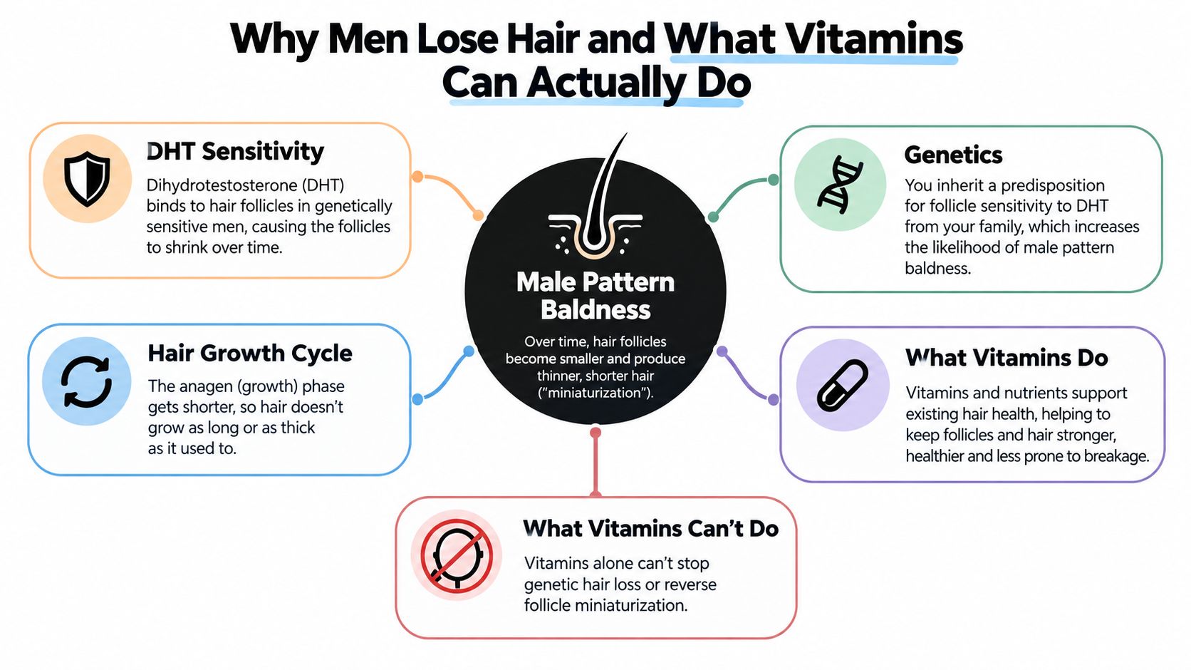 An infographic explaining the causes of male pattern baldness and the role of vitamins in hair health.