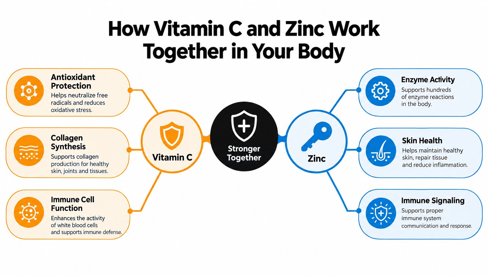 An infographic showing the synergistic health benefits of Vitamin C and Zinc for immune and skin support.