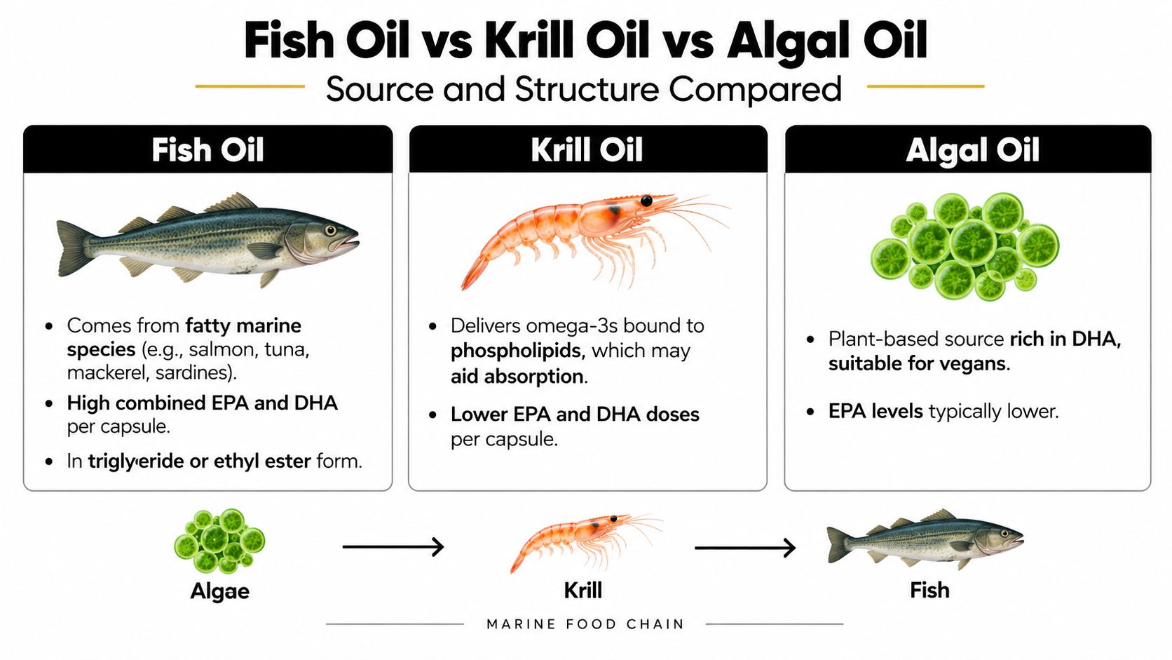A comparison chart showing the differences between fish oil, krill oil, and algal oil supplements.