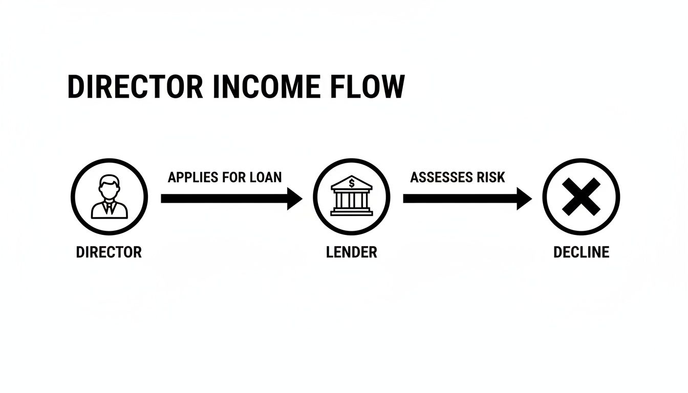 Flowchart showing a director applying for a loan, which a lender assesses for risk and then declines.