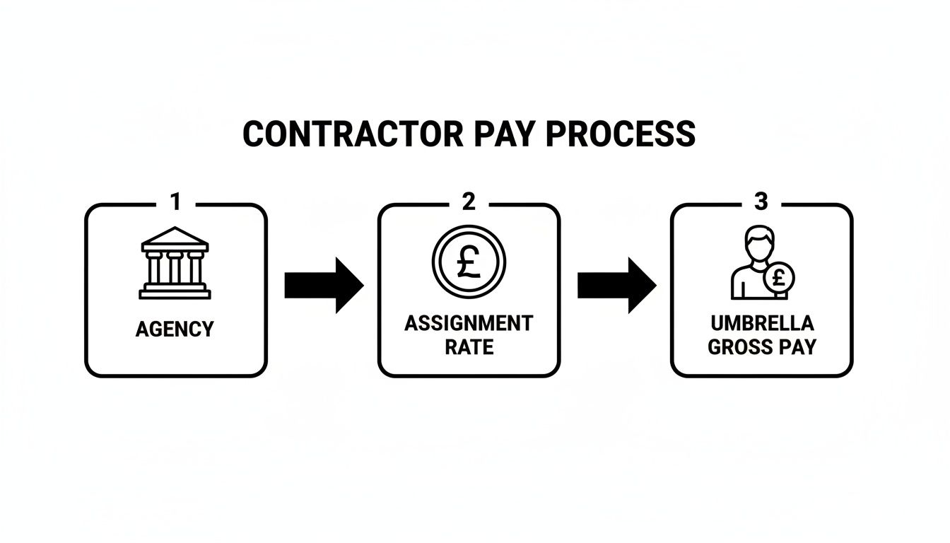 A flowchart showing the three steps of the contractor pay process: agency, assignment rate, and umbrella gross pay.