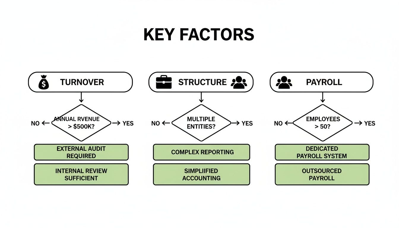 Flowchart showing key factors for business accounting and payroll decisions based on turnover, structure, and employees.