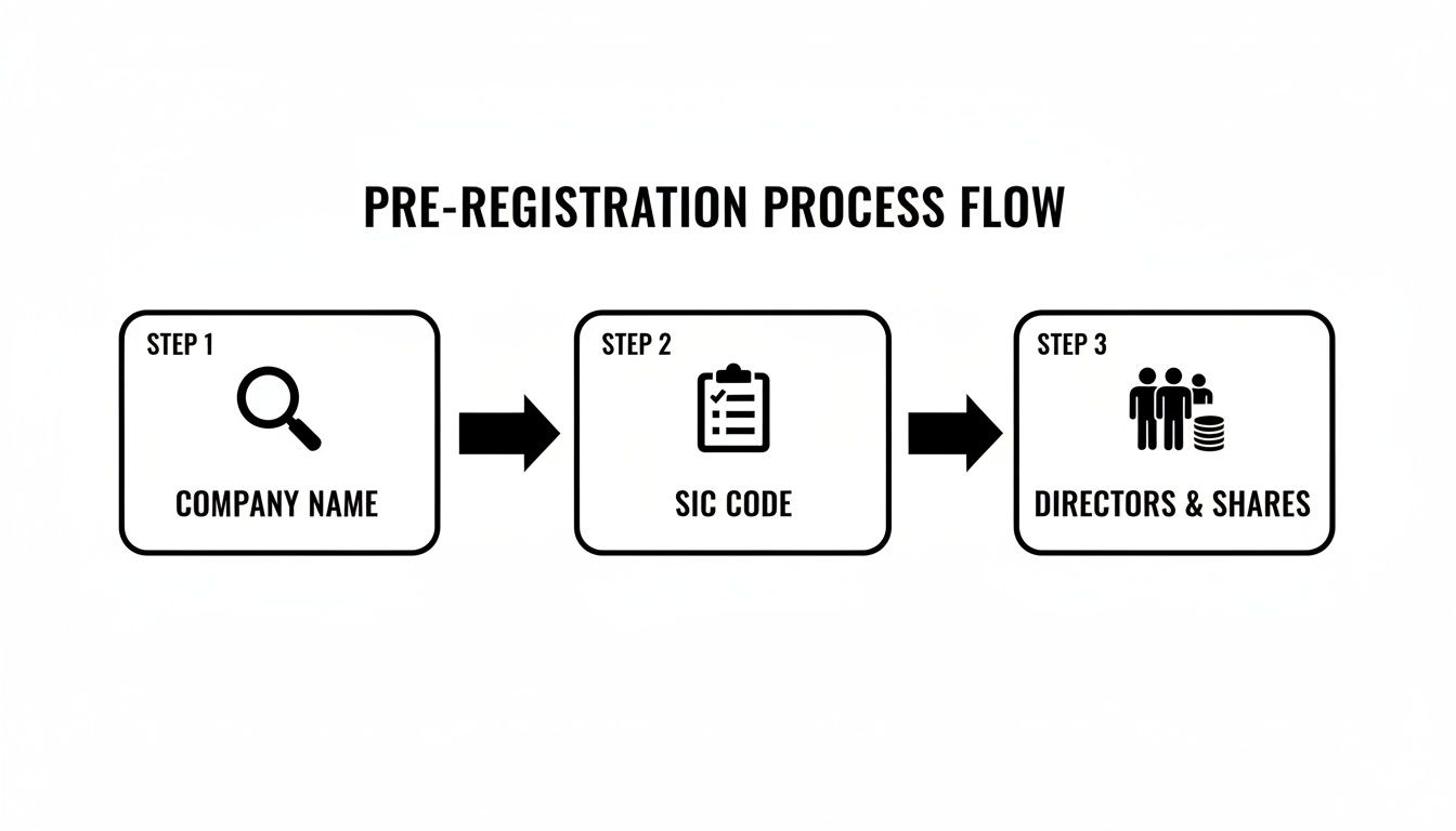 A pre-registration process flow diagram illustrating steps for company name, SIC code, and directors.