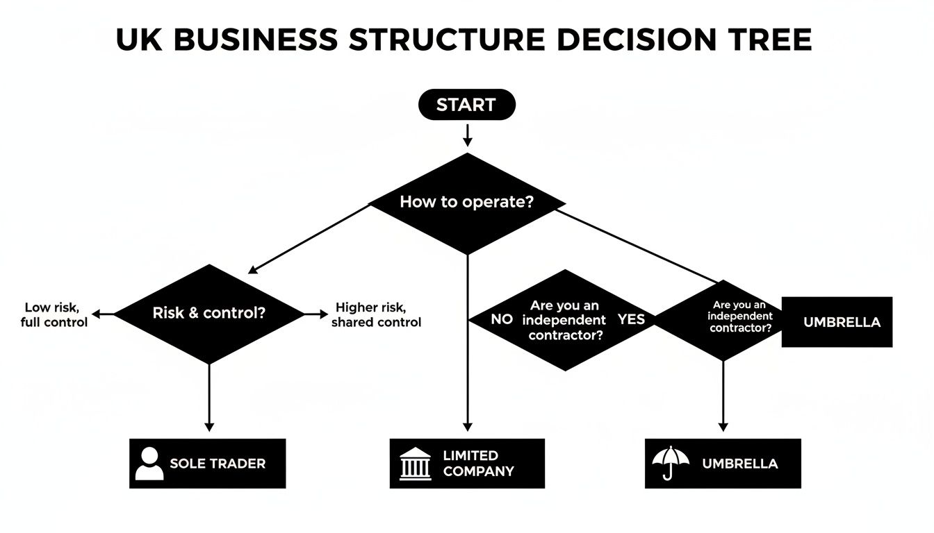 UK business structure decision tree flowchart guiding selection between Sole Trader, Limited Company, or Umbrella company.
