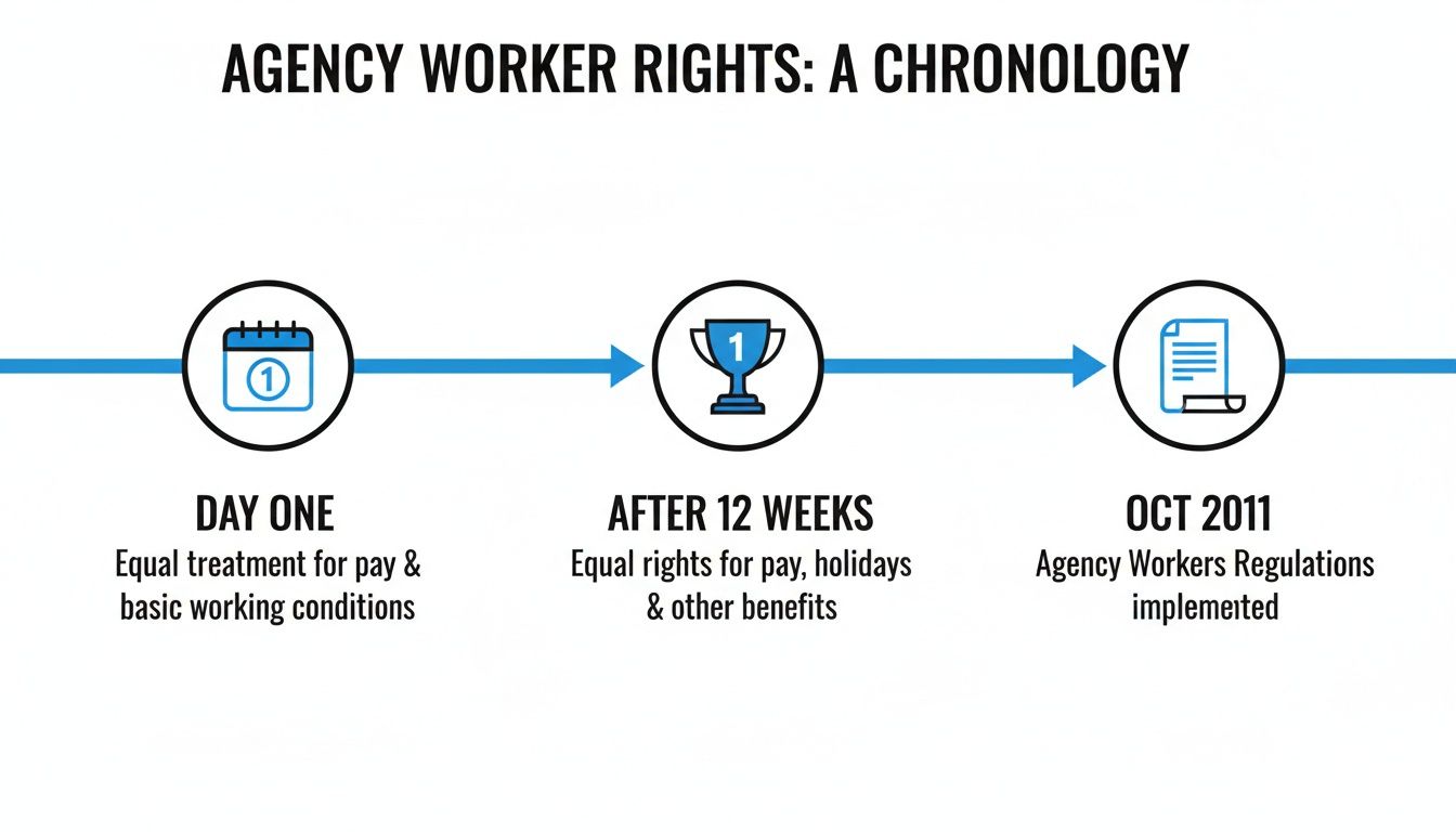 Infographic showing agency worker rights timeline: equal pay, benefits after 12 weeks, and 2011 regulations.