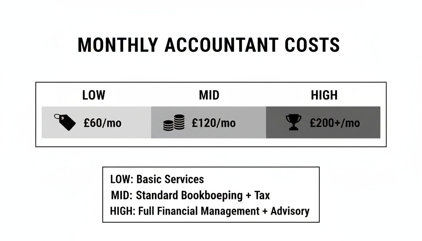 A visual guide showing monthly accountant costs across low, mid, and high service tiers with prices and service descriptions.