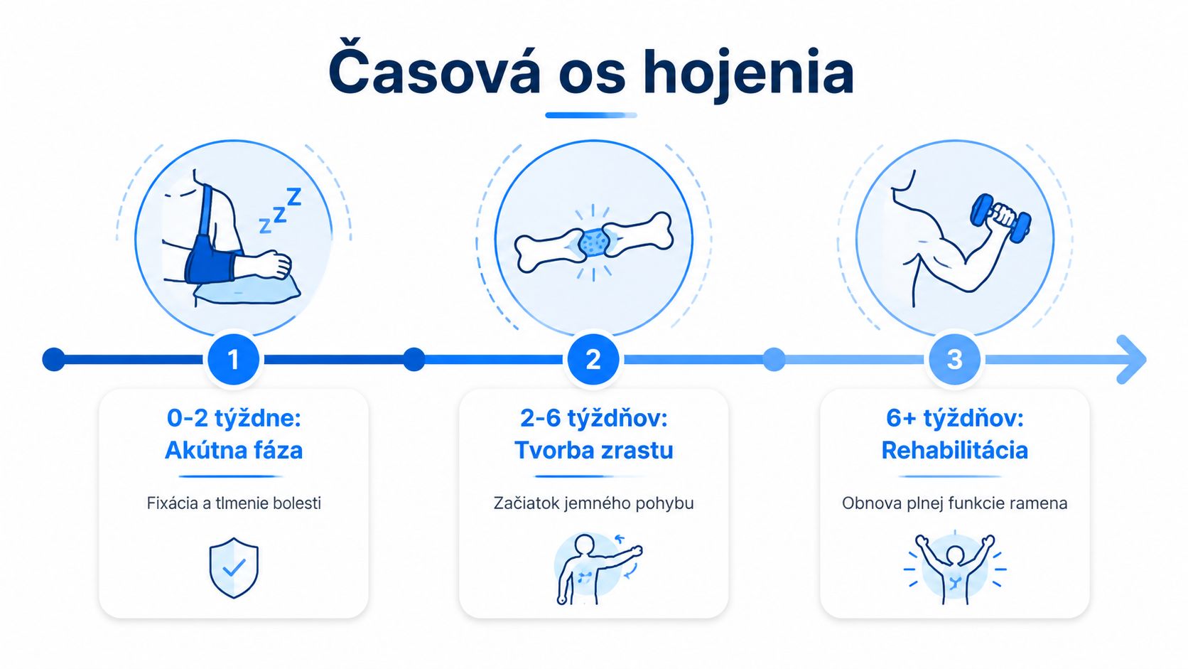 Infografika zobrazujúca časovú os hojenia zlomeniny ramennej kosti rozdelenú na akútnu fázu, tvorbu zrastu a následnú rehabilitáciu.