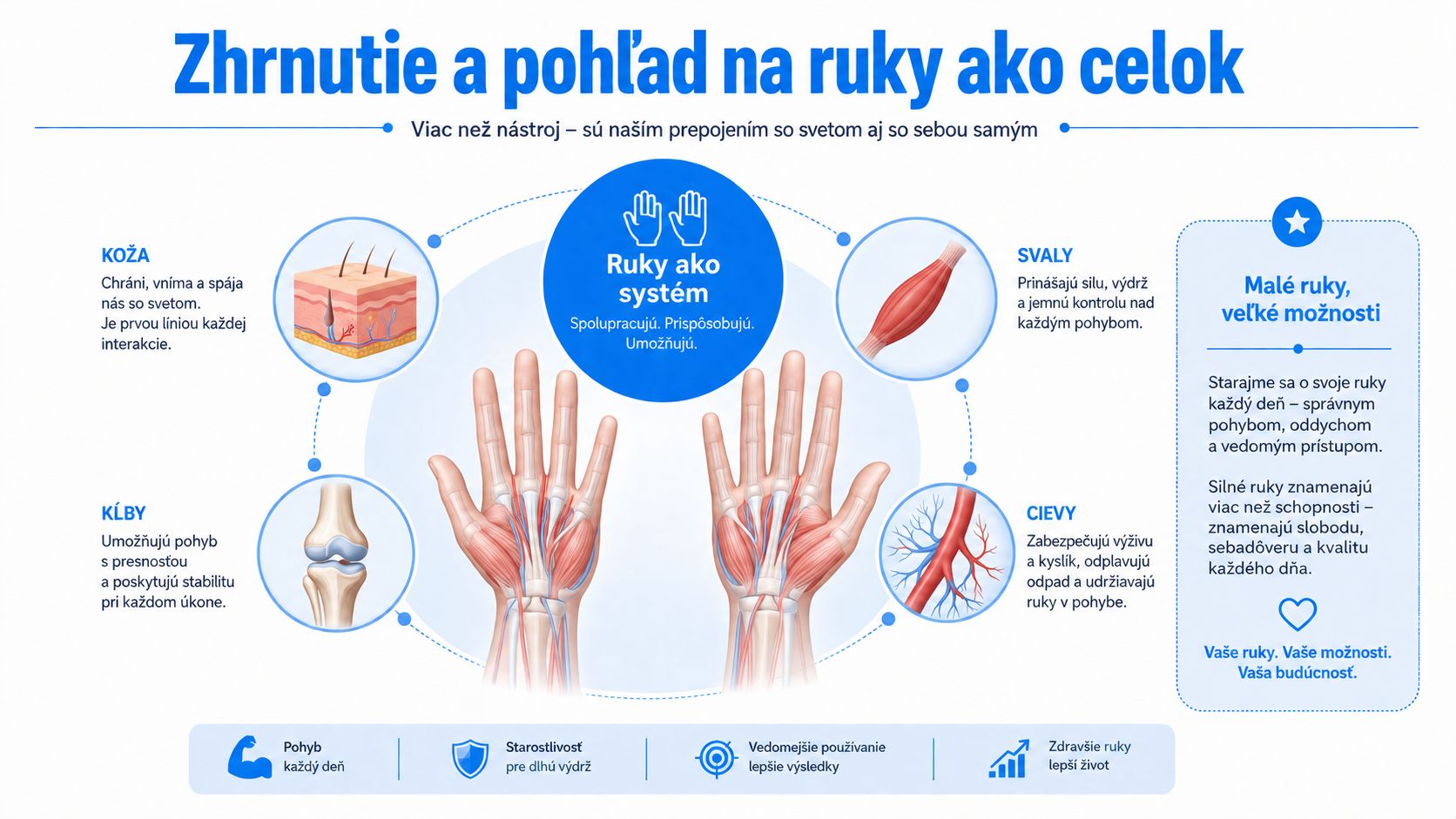 Infografika vysvetľuje anatómiu ruky, funkciu kože, kĺbov, svalov a ciev ako prepojeného komplexného systému.