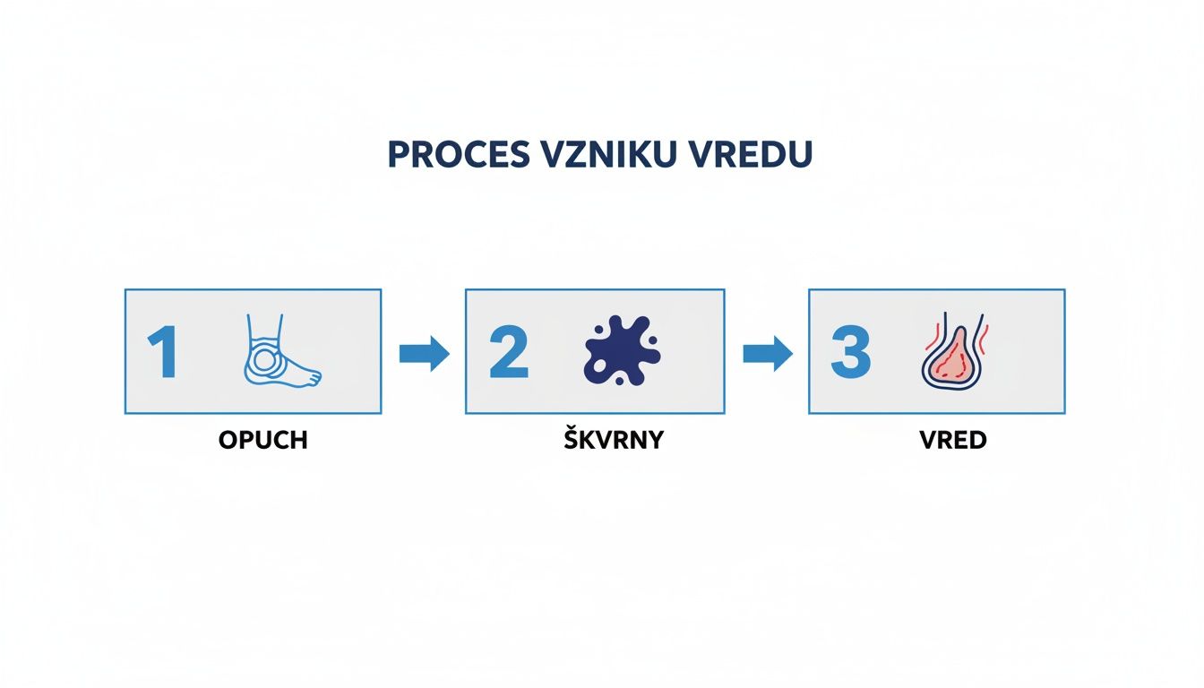 Diagram znázorňujúci trojstupňový proces vzniku vredu: opuch nohy, následné škvrny a nakoniec otvorený vred.