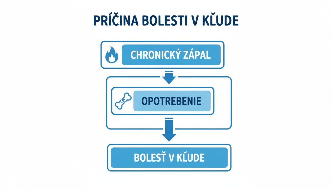 Diagram zobrazujúci príčinnú reťaz bolesti v kľude: chronický zápal vedie k opotrebovaniu a bolesti.