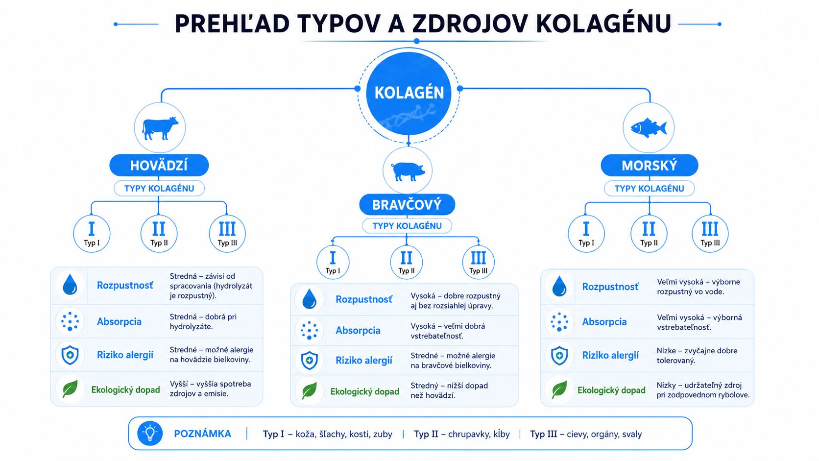 Inforgrafika zobrazujúca prehľad typov a zdrojov kolagénu so porovnaním hovädzieho, bravčového a morského kolagénu podľa vlastností.
