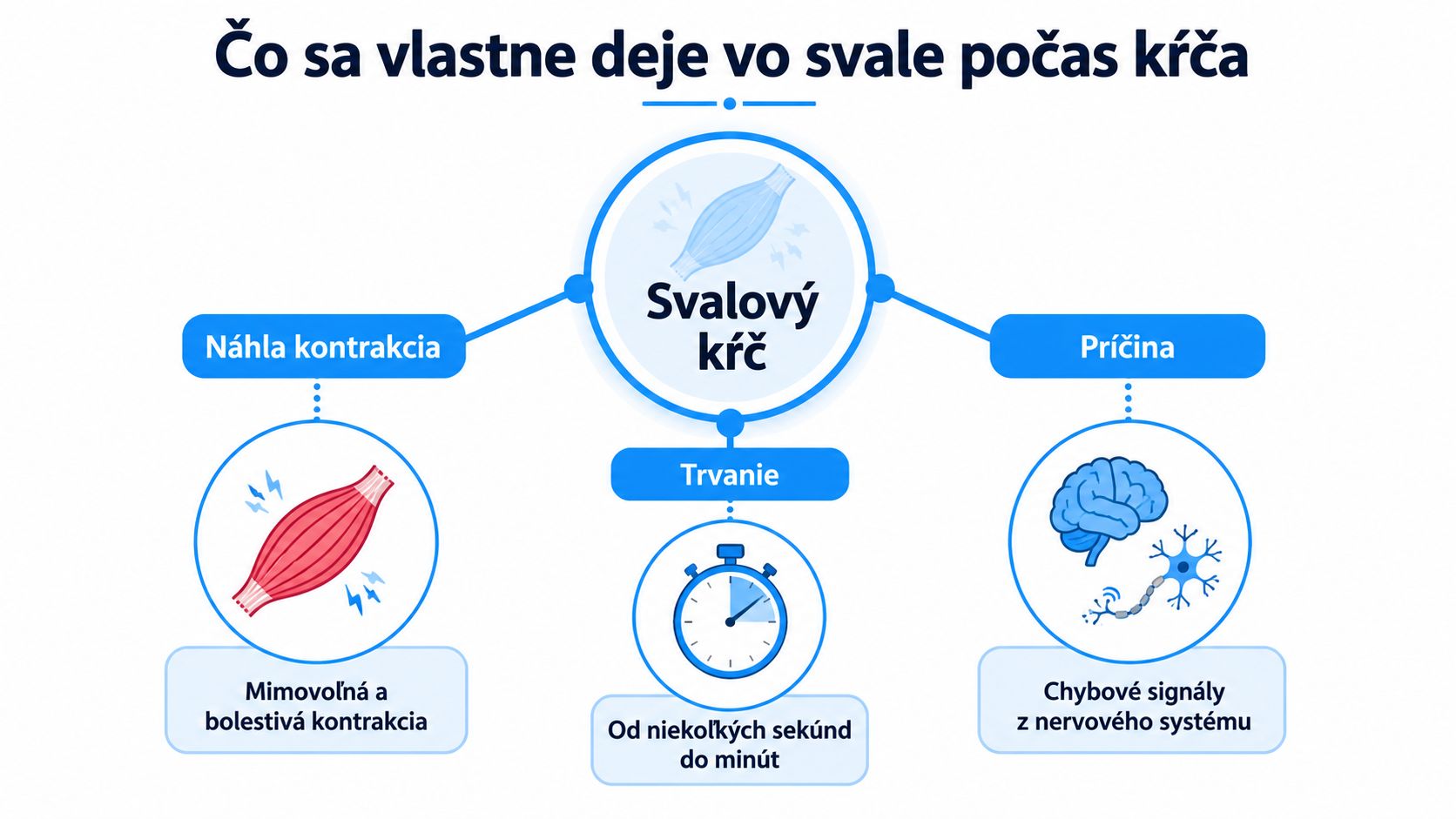 Infografika vysvetľujúca priebeh, príčiny a trvanie svalového kŕču v ľudskom tele formou jednoduchých ilustrácií.