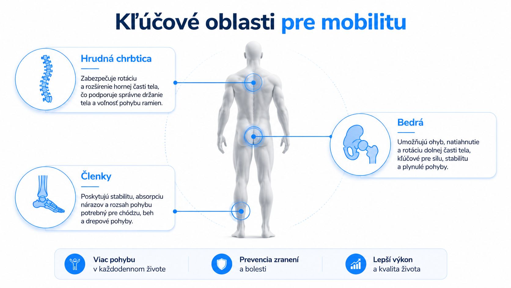 Infografika znázorňujúca kľúčové oblasti tela pre mobilitu, vrátane hrudnej chrbtice, bedier a členkov pre lepšie zdravie.