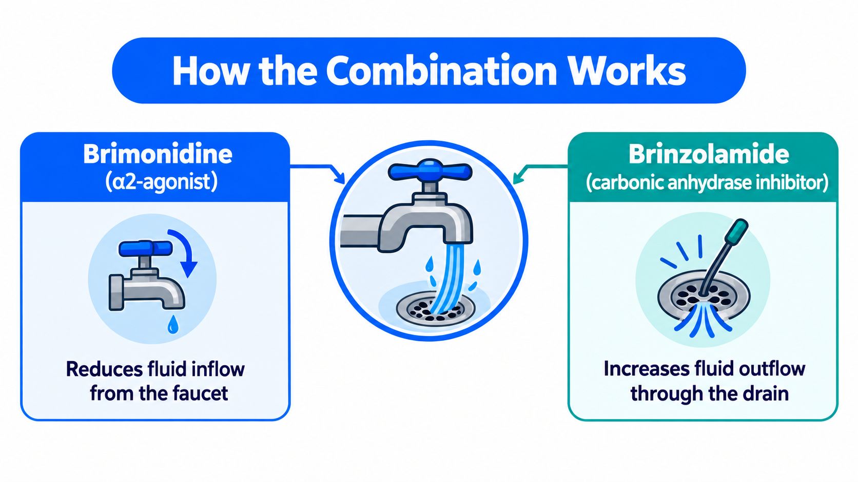 A diagram illustrating how brimonidine reduces fluid inflow and brinzolamide increases fluid outflow to manage pressure.