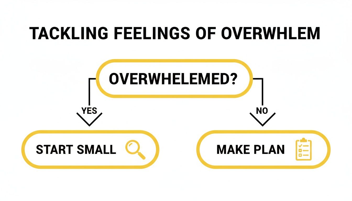 A simple flowchart guiding on how to tackle feelings of overwhelm effectively.