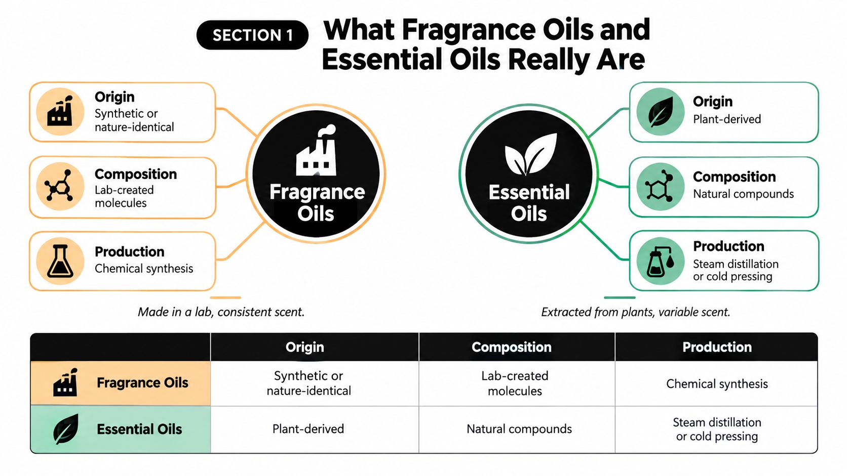 A comparison chart explaining the key differences between fragrance oils and essential oils regarding origin, composition, and production.