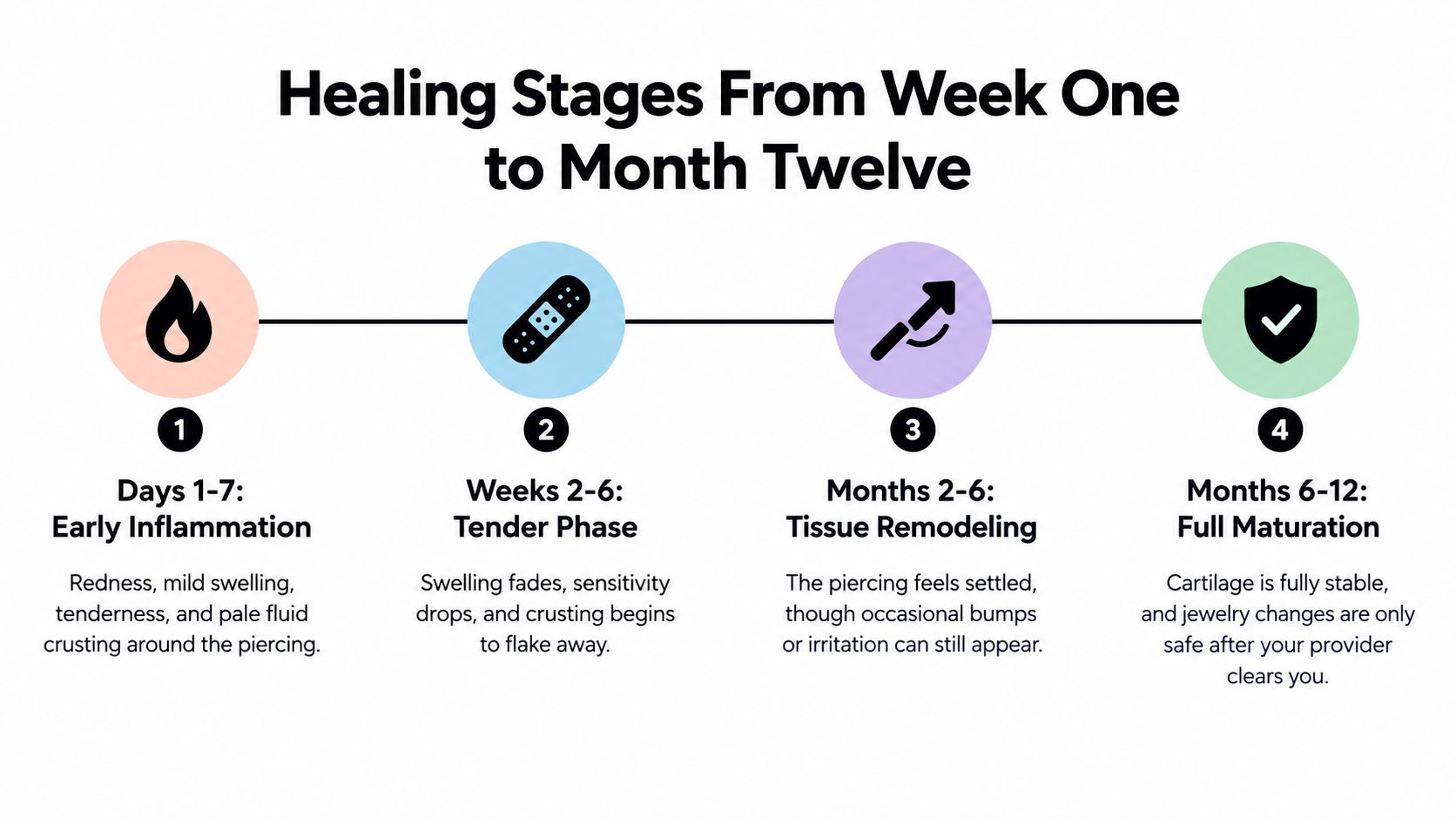 A diagram illustrating the four healing stages of a cartilage piercing from week one to month twelve.