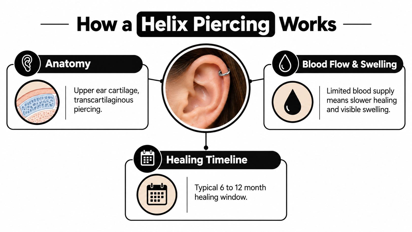 An infographic showing the anatomy, blood flow, and healing timeline for a cartilage helix ear piercing.