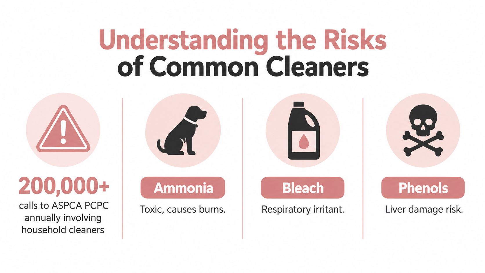 An infographic warning about the dangers of household cleaners like ammonia, bleach, and phenols for dogs.