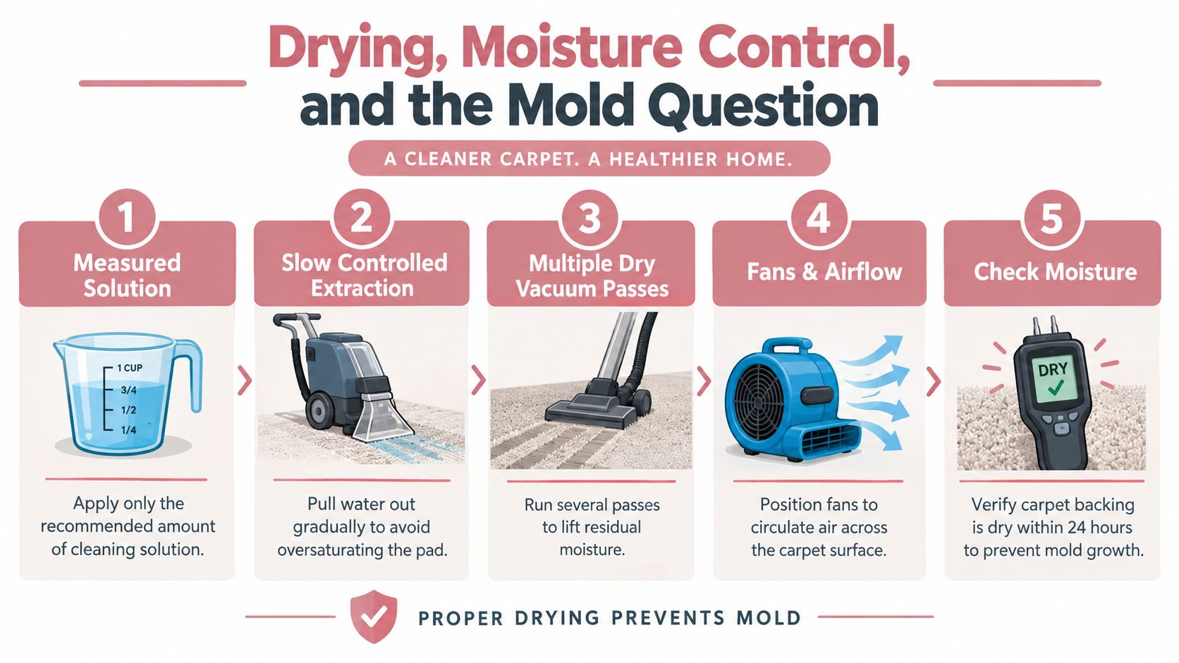 A five-step infographic showing how to clean carpets properly to prevent mold growth and maintain health.