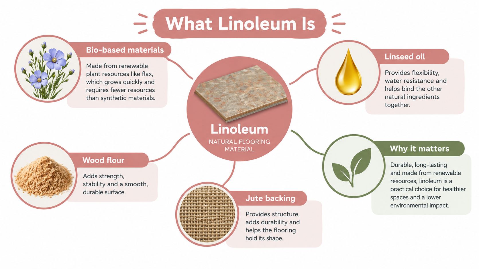 An infographic diagram explaining the natural composition and sustainable benefits of linoleum flooring material.
