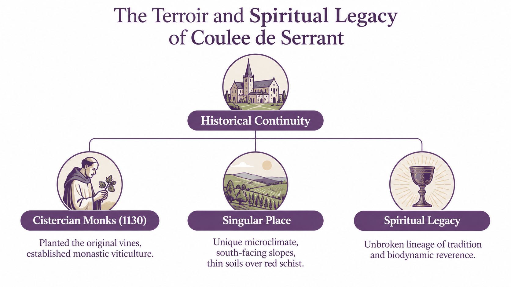 A diagram illustrating the historical, geographical, and spiritual legacy of the Coulee de Serrant wine estate.