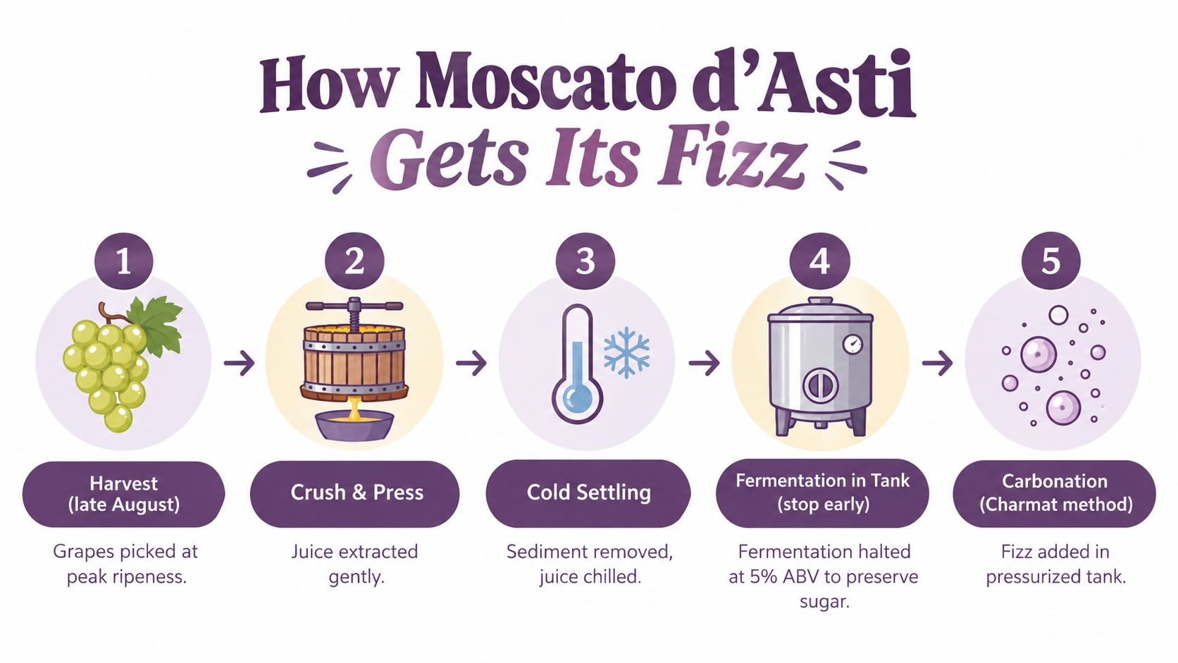 A step-by-step infographic illustrating the five stages of how Moscato d'Asti wine is produced and carbonated.