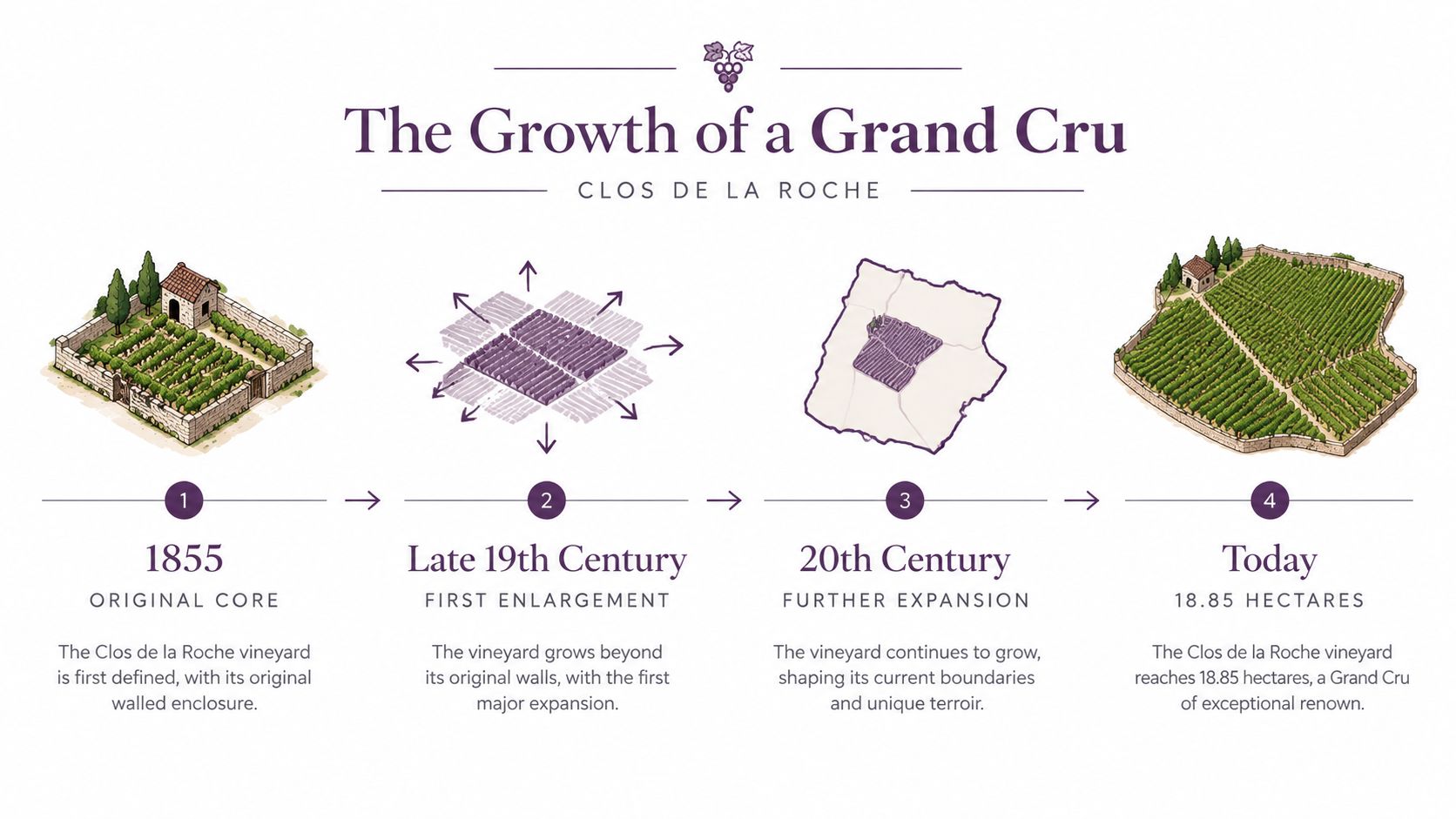 An infographic illustrating the historical growth stages of the Clos de la Roche Grand Cru vineyard.