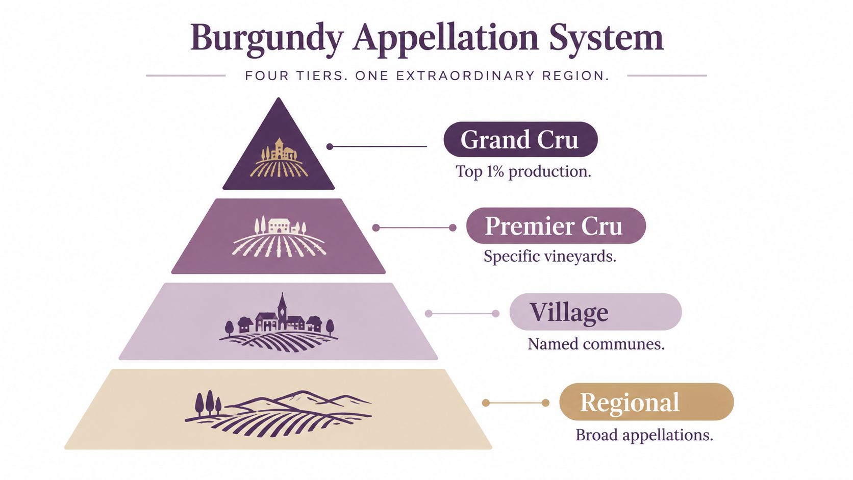A hierarchical pyramid chart explaining the four tiers of the Burgundy wine appellation system from regional to grand cru.