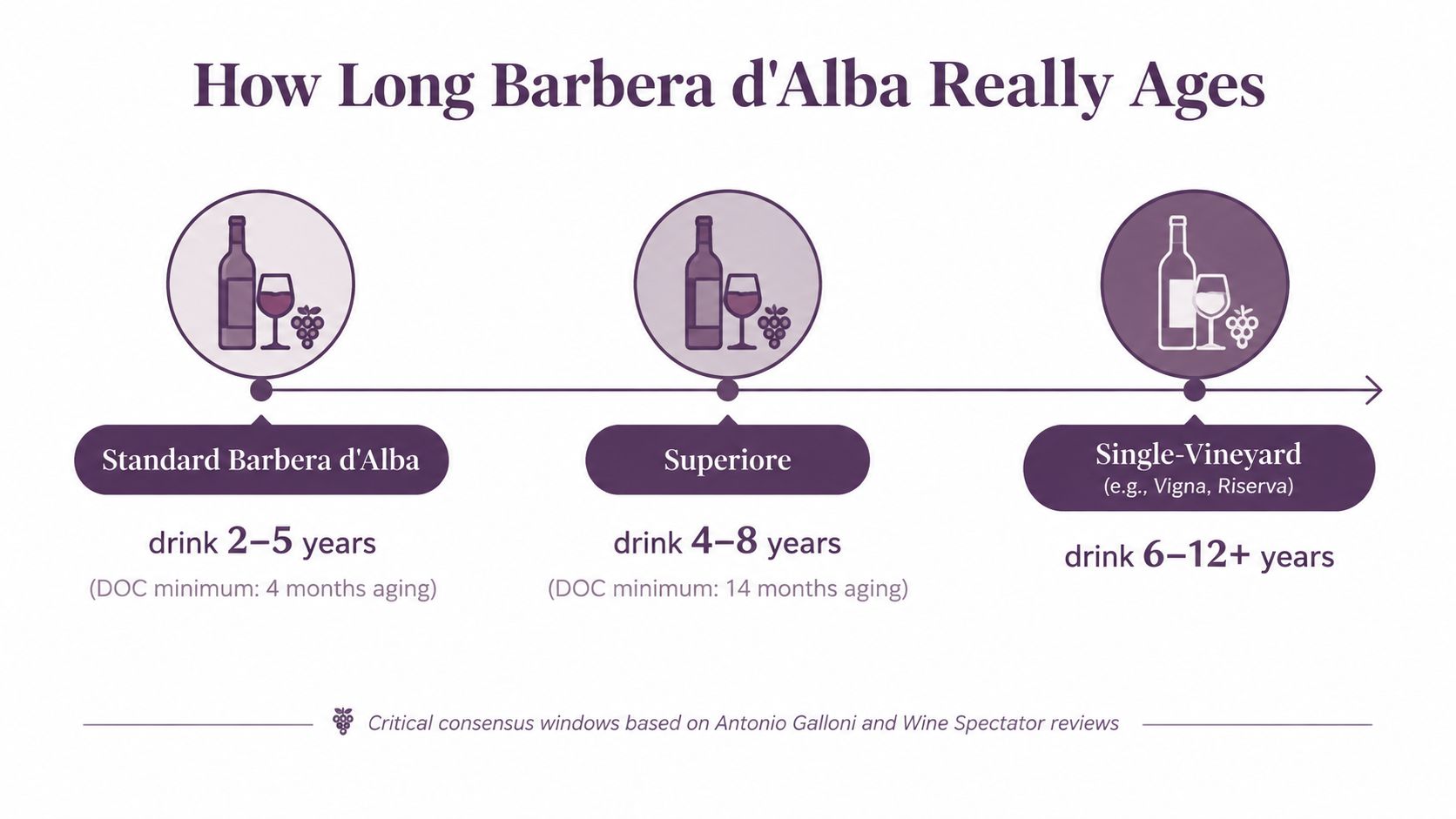 An infographic showing the optimal drinking windows for different types of Barbera d'Alba Italian wine.