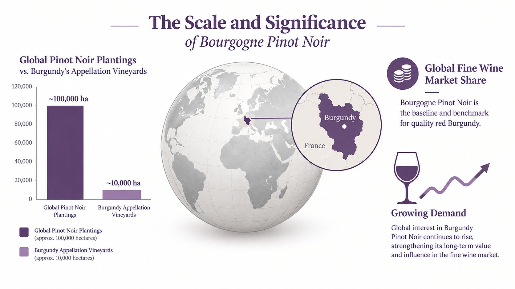 An infographic comparing global Pinot Noir vineyard hectares to Bourgogne regional appellation vineyard hectares with maps.