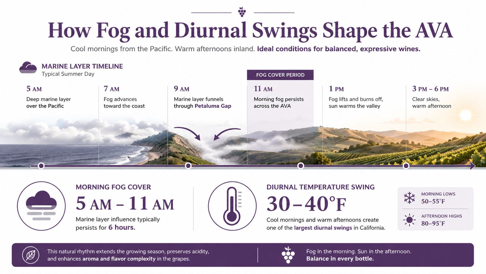 An infographic illustrating how the marine fog layer and diurnal temperature swings influence the Russian River Valley AVA.