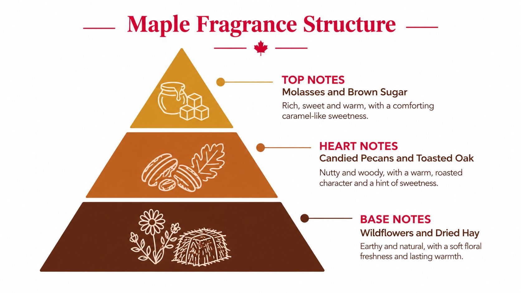 A diagram of a fragrance pyramid illustrating the top, heart, and base notes of maple scent.