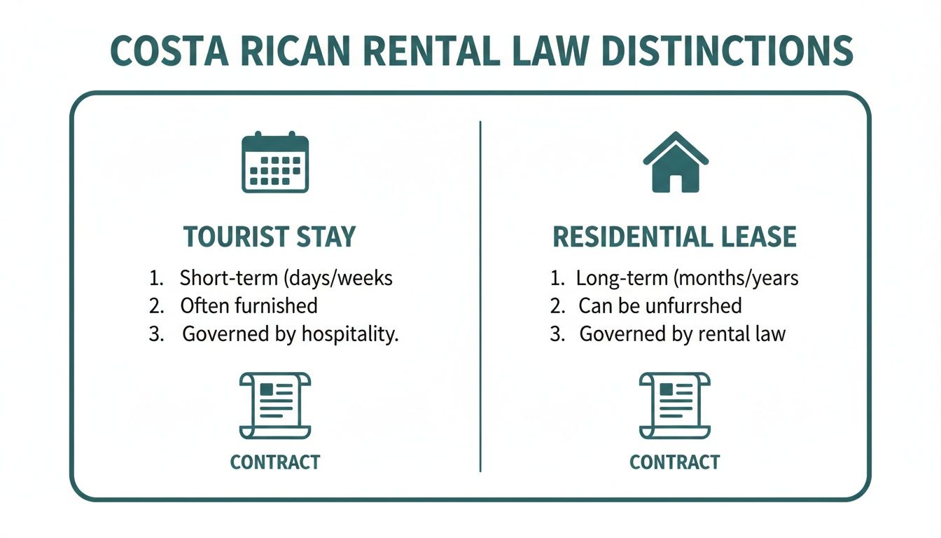 Unlock monthly rentals in costa rica: Your 2026 guide to profitable ...