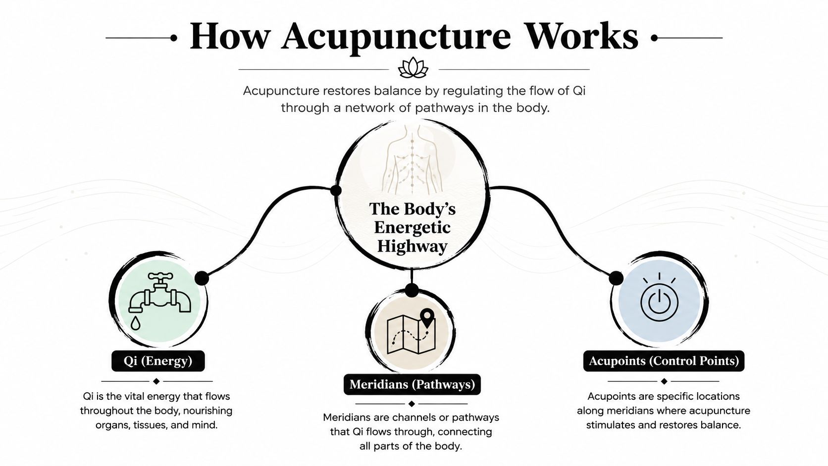 An infographic titled How Acupuncture Works, explaining the roles of Qi, meridians, and acupoints in body balance.