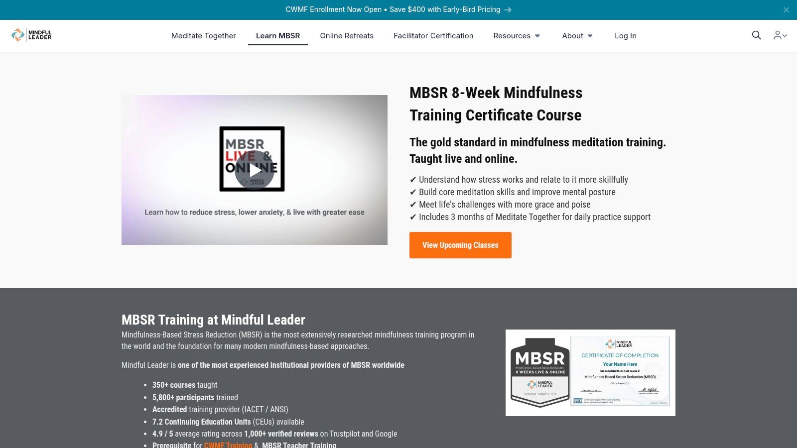 Mindful Leader – 8-Week Mindfulness-Based Stress Reduction (MBSR), live online