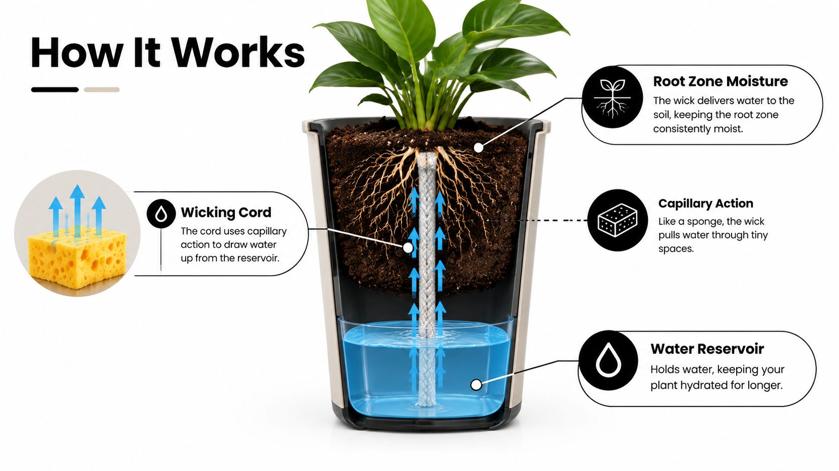 A diagram showing a self watering planter with a wicking cord system for plant hydration.