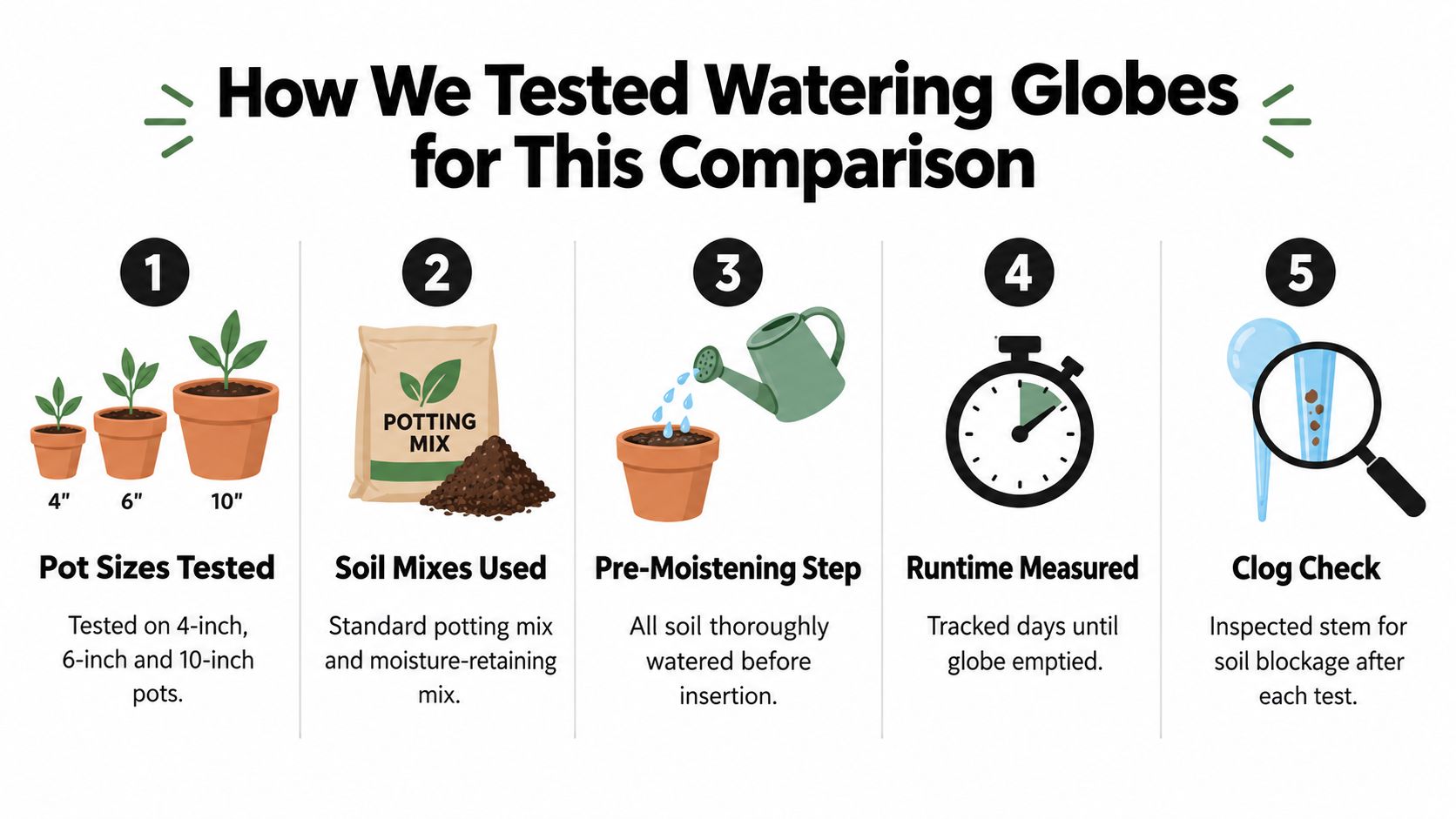 A five-step infographic illustration detailing the systematic testing process for evaluating plant watering globes in gardens.