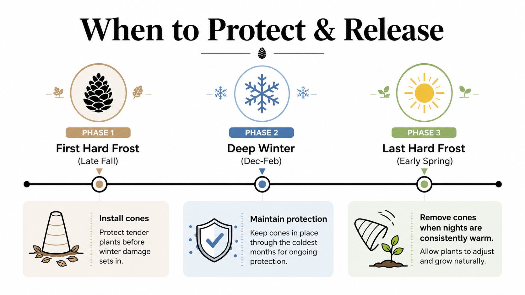 A diagram illustrating the three-phase schedule for installing, maintaining, and removing plant protection cones during winter.