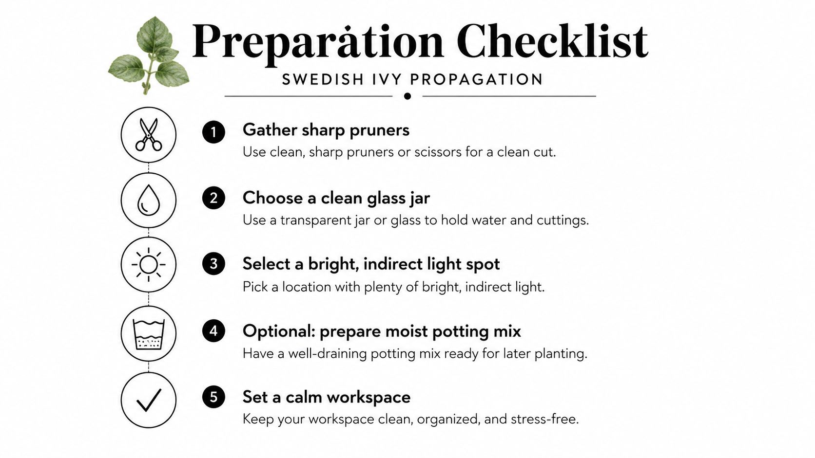 A preparation checklist for propagating Swedish Ivy featuring five steps with icons and descriptive text instructions.