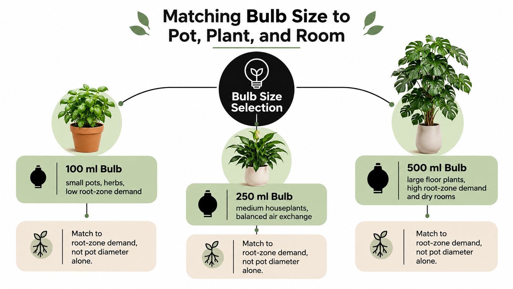 An infographic illustrating how to select the right size watering bulb for different types of houseplants.