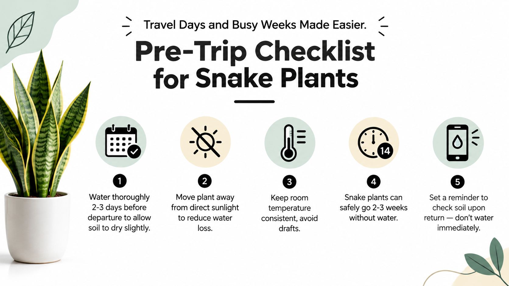 A five-step instructional guide for snake plant care before leaving for a trip or vacation.