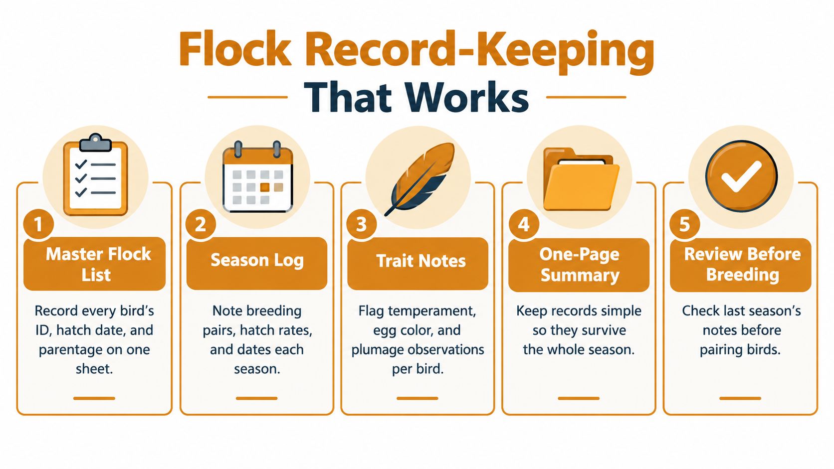 A five-step infographic guide on maintaining effective flock record-keeping for bird breeding and management.