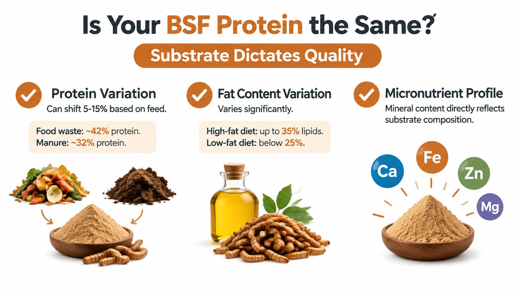 An infographic showing how different feeding substrates affect the protein, fat, and mineral content of black soldier fly larvae.
