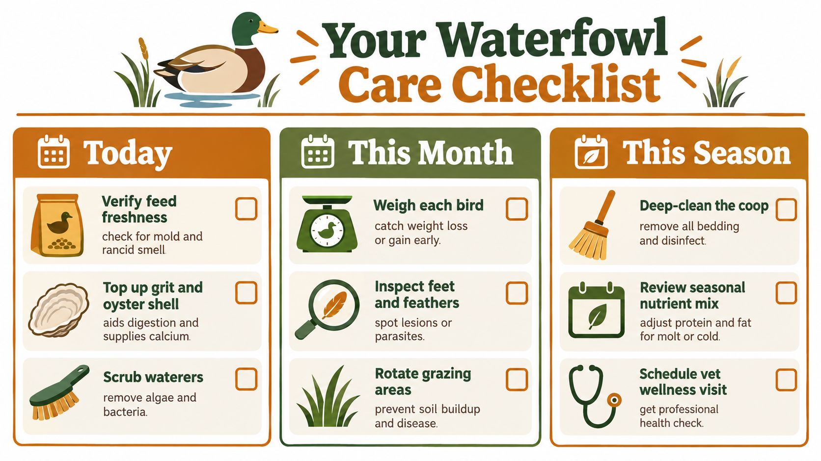 A structured checklist titled Your Waterfowl Care Checklist detailing essential maintenance tasks for ducks by time frame.